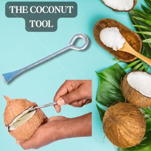 KITCHFREND Coconut Grater Stainless Steel Rod - Coconut White Remover from Sheel - Coconut Graters for Kitchen - Rust Free Heavy Stainless Steel Rod - Kitchen Accessories Items...