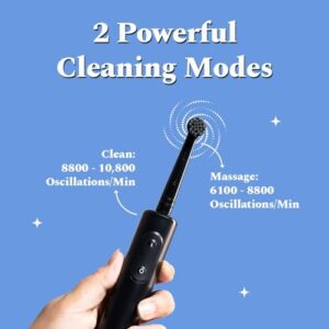 Perfora PRO Oscillating Electric Toothbrush | 2 Years Warranty | Electric Toothbrush Rechargeable, Electric Brush, Electric Toothbrush For Men & Women, 8800 RPM, 1 Mode, 2 min...