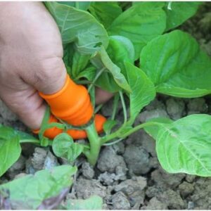 Sweezee Enterprise Premium Silicone Thumb Knife with Finger Protector | Stainless Steel Vegetable & Fruit Cutter with Safety Silicone Holder | Ideal for Kitchen, Plant Picking &...