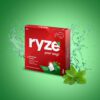 RYZE Gums Pudina Punch Flavor - 2mg