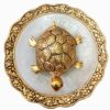 Trendy Crafts Metal Feng Shui Golden Tortoise on Glass Plate - 5.5 inches Turtle Showpiece for Good Luck Vastu - Kachua for Home, Office, Living Room, Hotel - Gift for...
