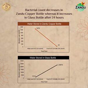 Zandu Copper Bottle (950ml): 100% Pure BPA-Free Water Bottle | Copper-Infused Water | Leak Proof | Office Use | Boosts Immunity | Supports Digestive & Liver Health | Ayurveda...